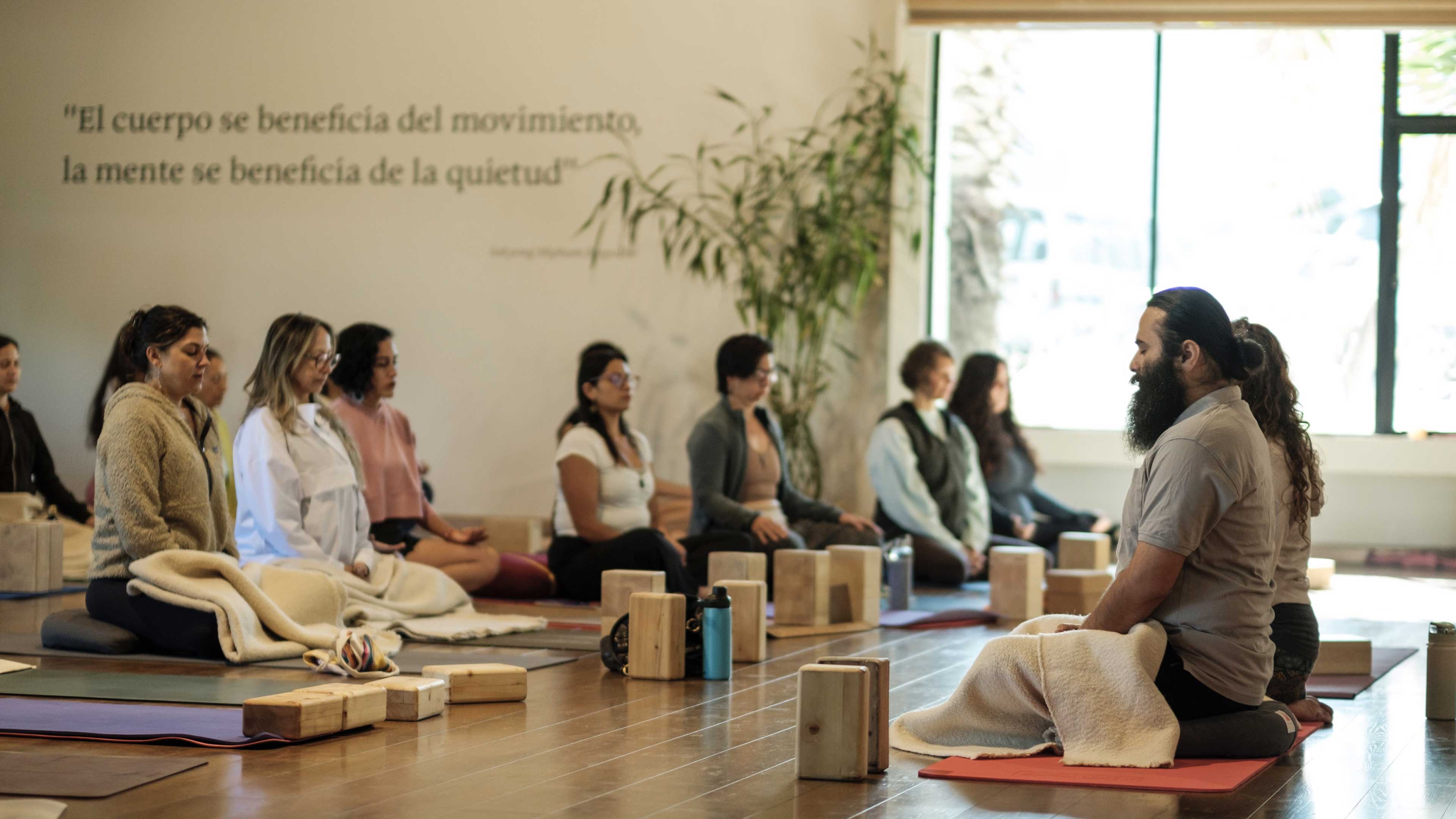 The Quiet Discipline of Hatha Yoga